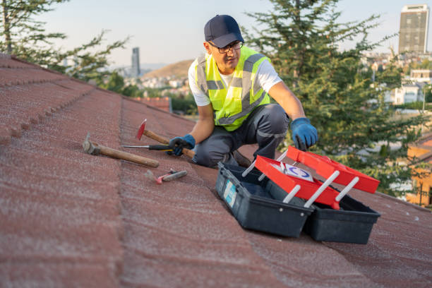 Best Fascia and Soffit Installation  in Cairo, IL